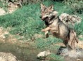 /album/fotogaleria/descarga-7-jpg/